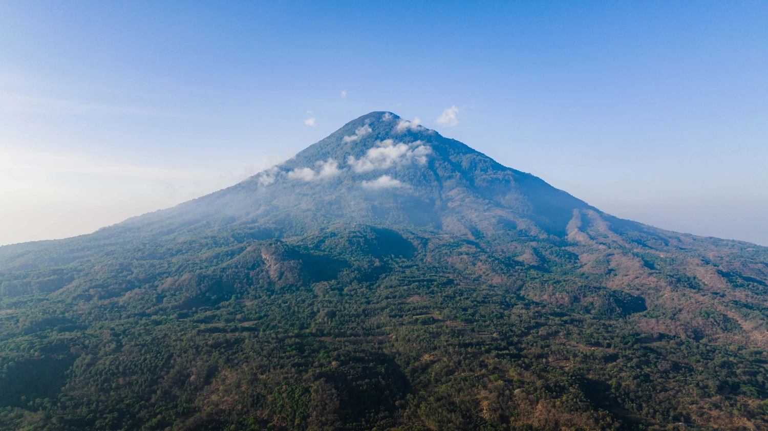 Cà phê Guatemala