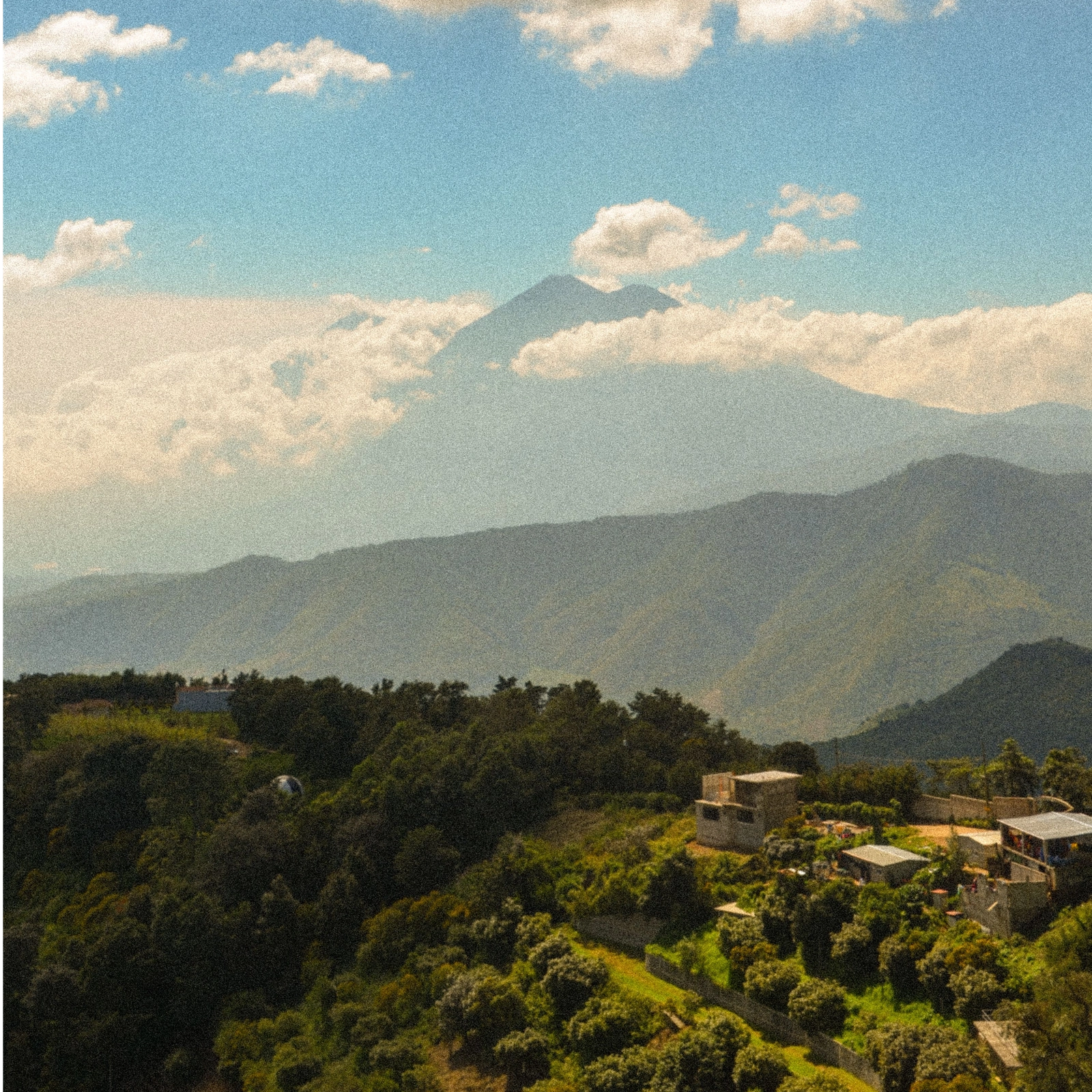 Cà Phê Guatemala - Nơi núi lửa kiến tạo chiều sâu hương vị