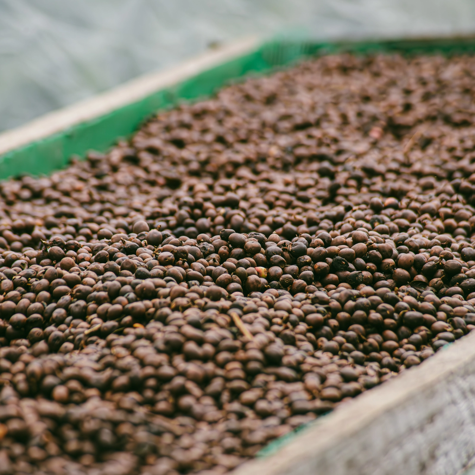 Chế biến — Natural Process