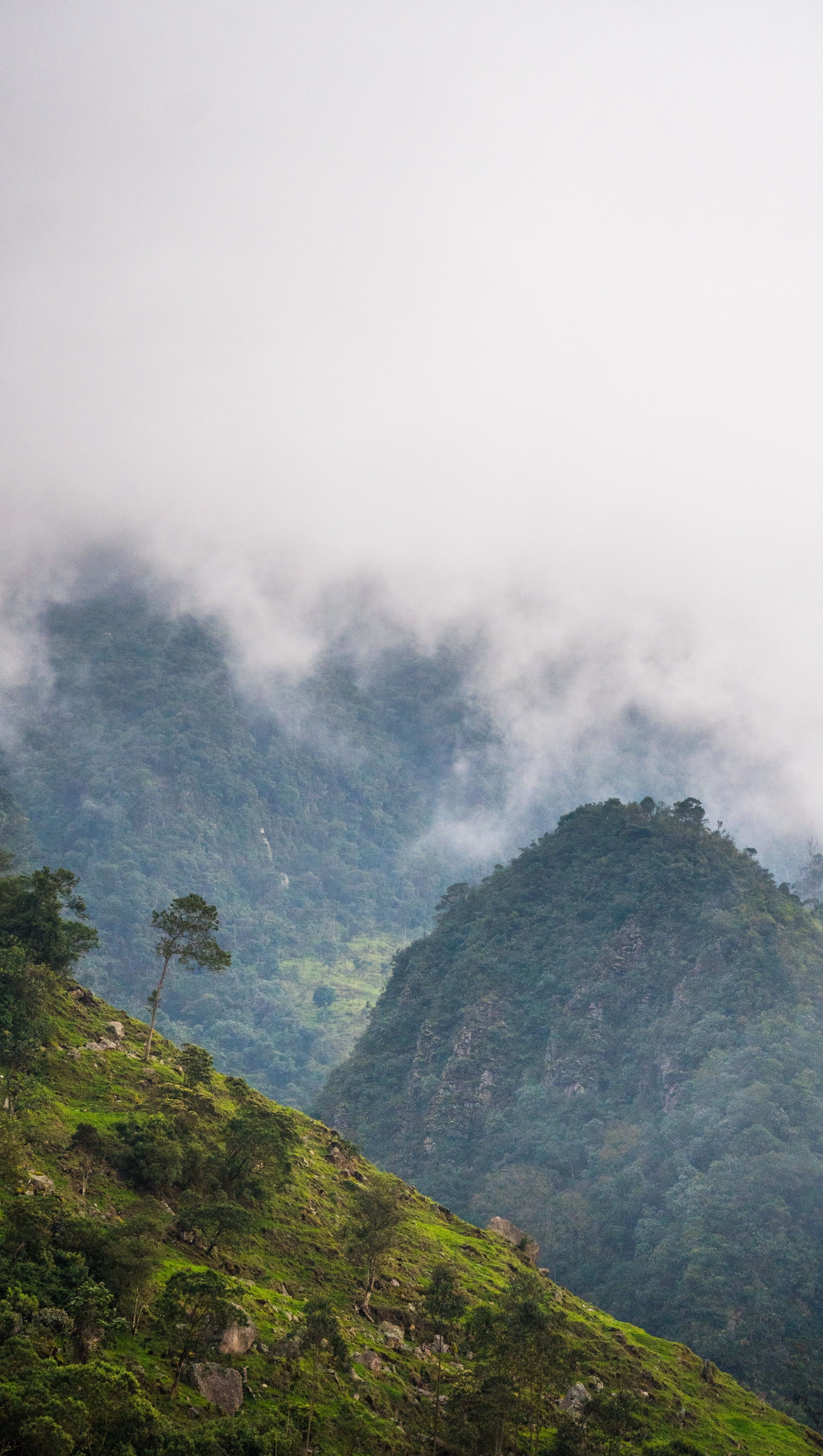 Colombia