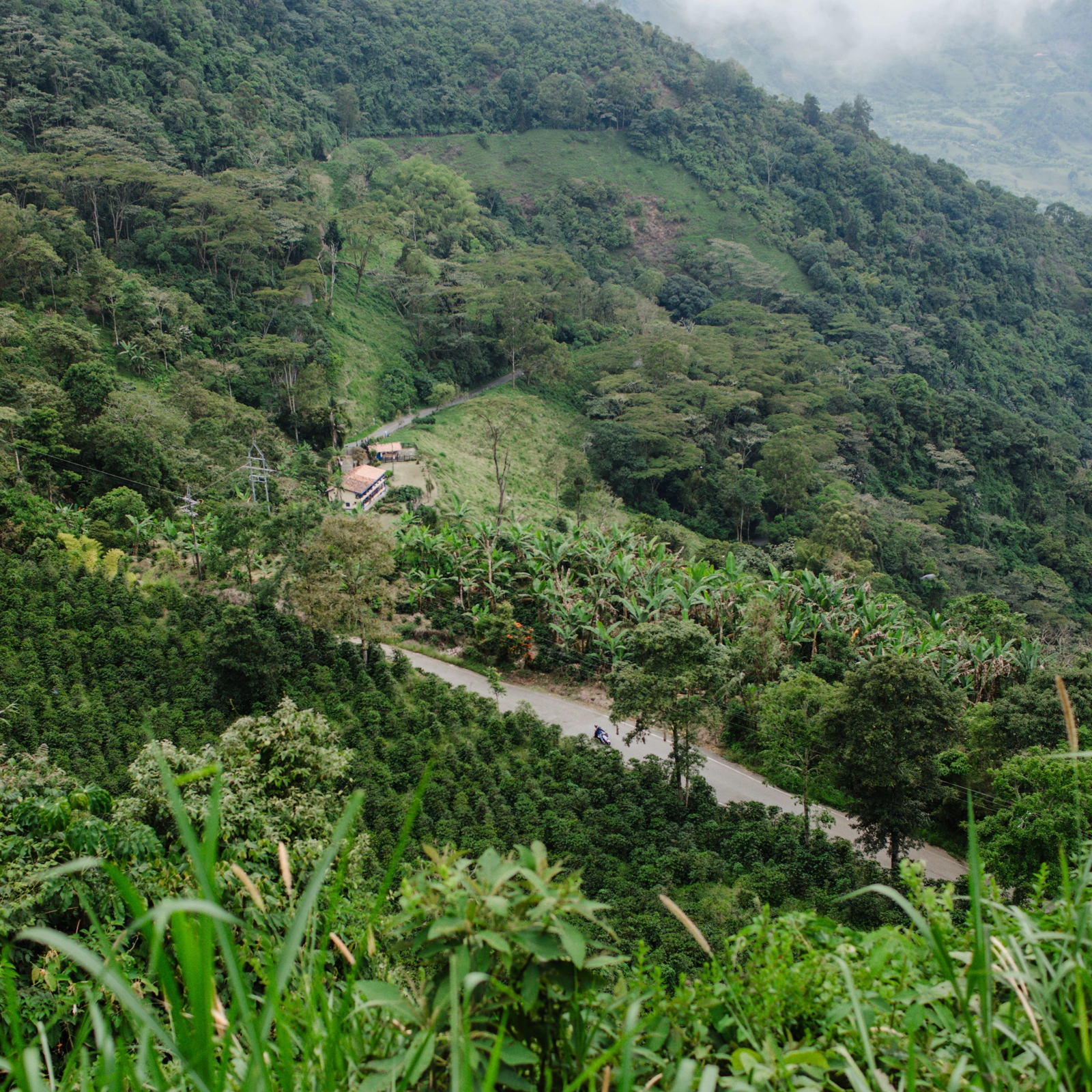 Colombia - Nơi sự cân bằng tạo nên những tách cà phê biểu tượng