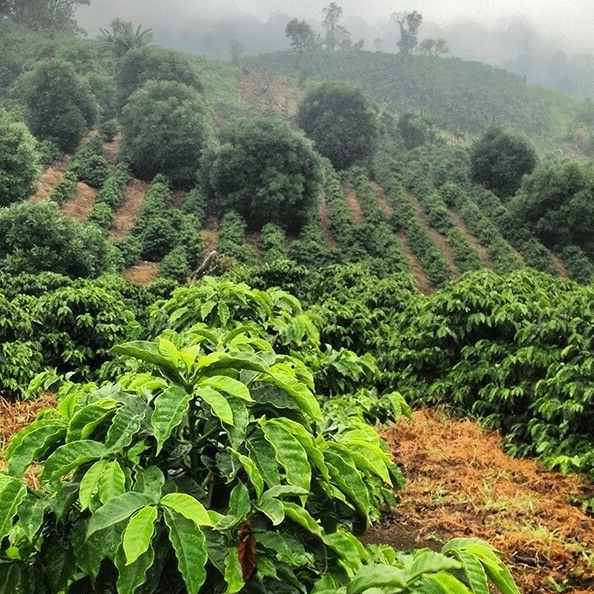 Điều kiện tự nhiên