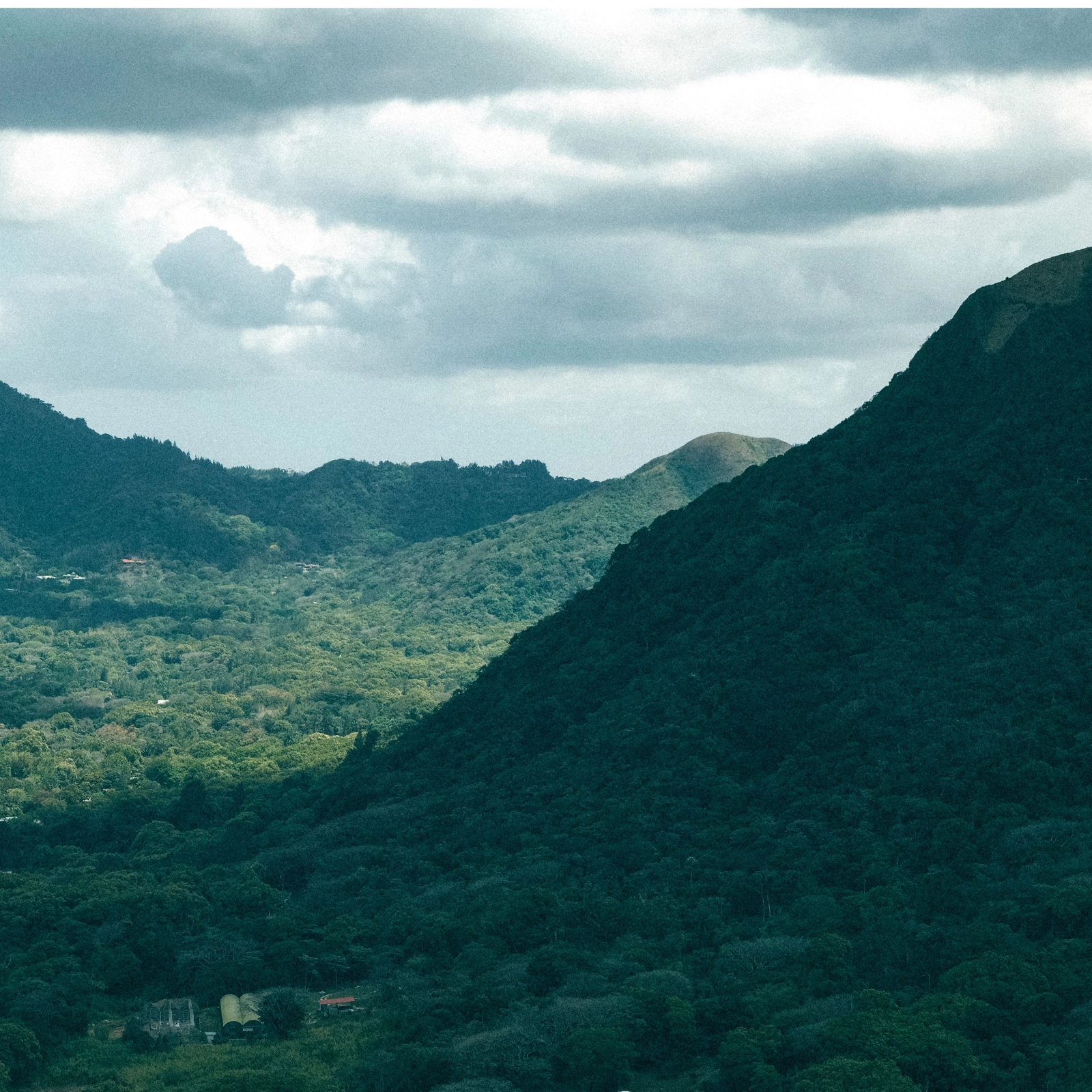 Panama - Nơi những tuyệt tác cà phê được tạo nên