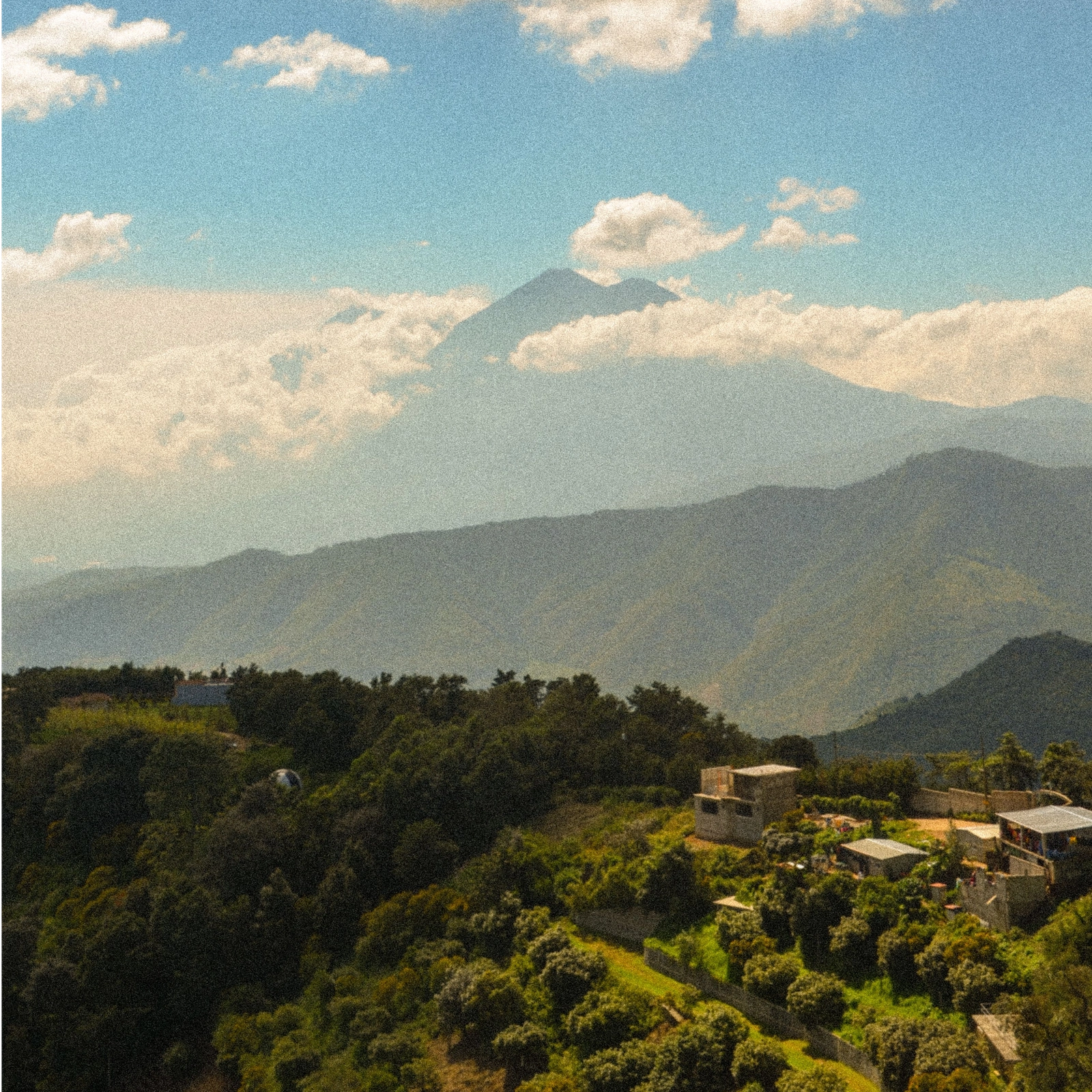 Guatemala Antigua SHB EP – La Azotea Estate