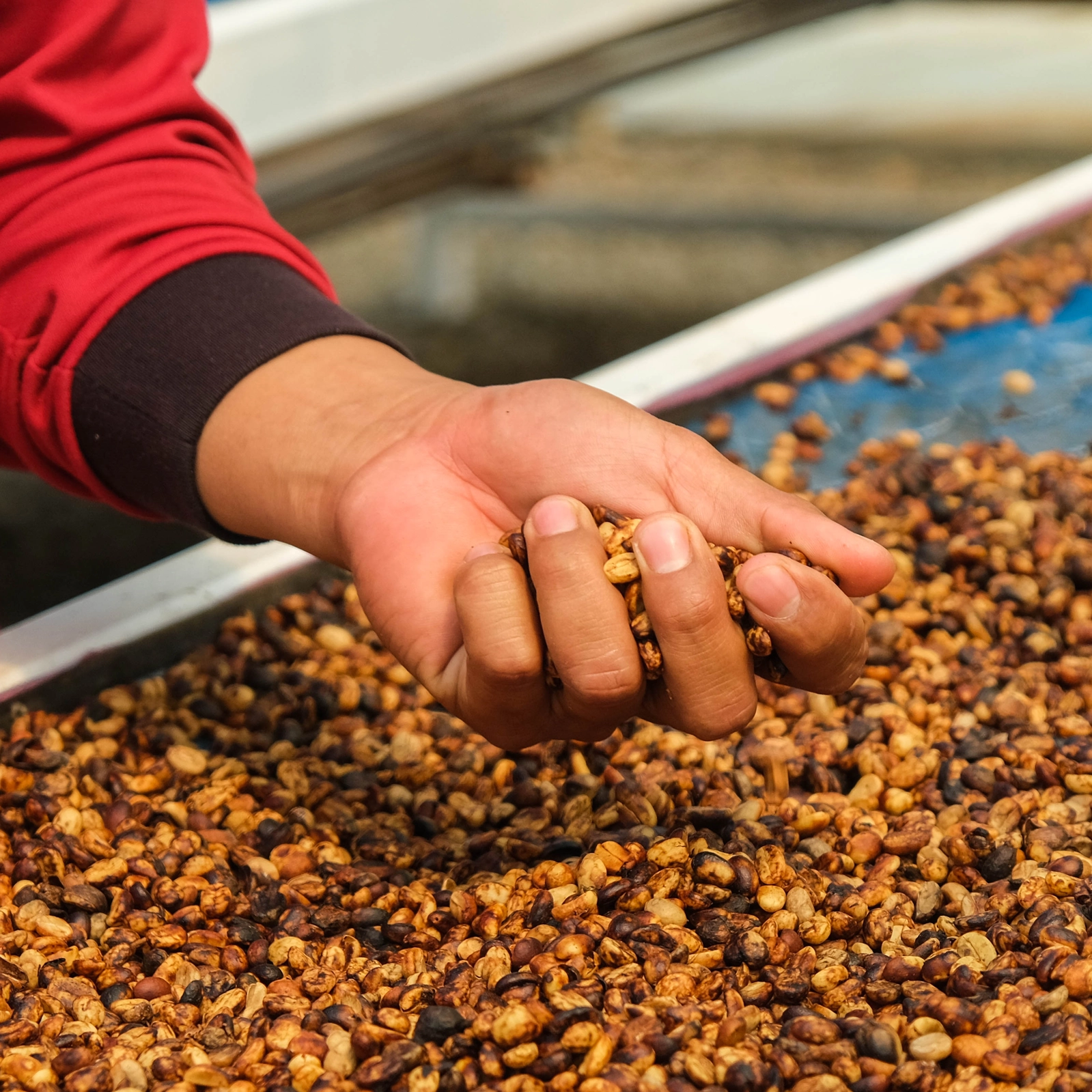 Ưu điểm của Honey Process