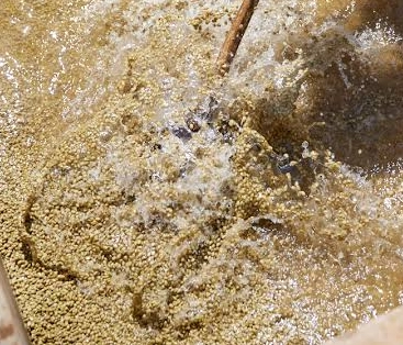 Washed Process
