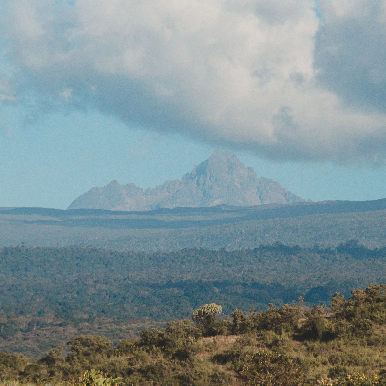 Kenya - Nơi sự sống động trở thành dấu ấn trong từng tách cà phê