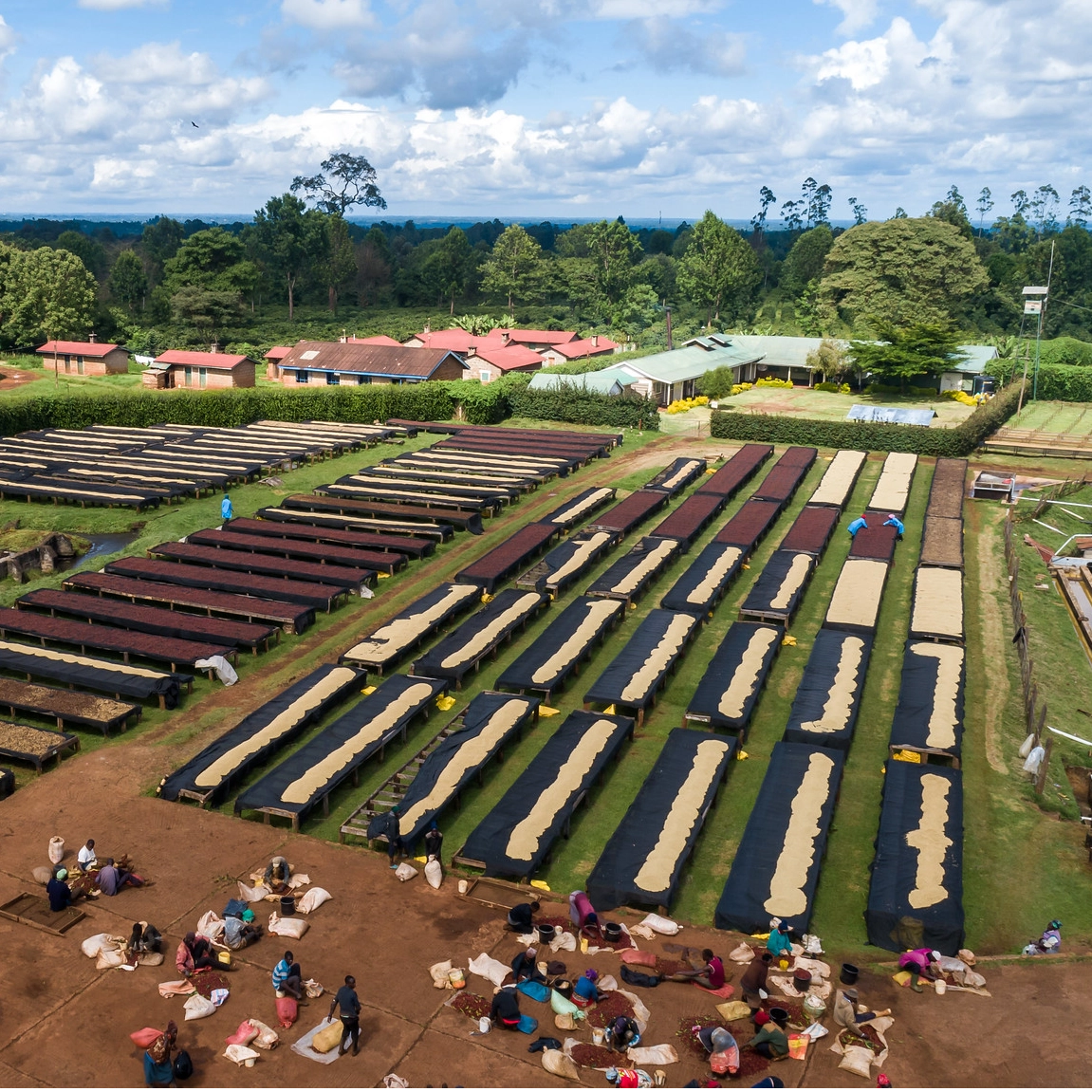 Kenya Nyeri 