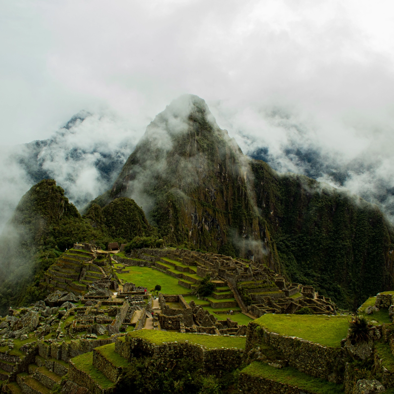 Cà Phê Peru