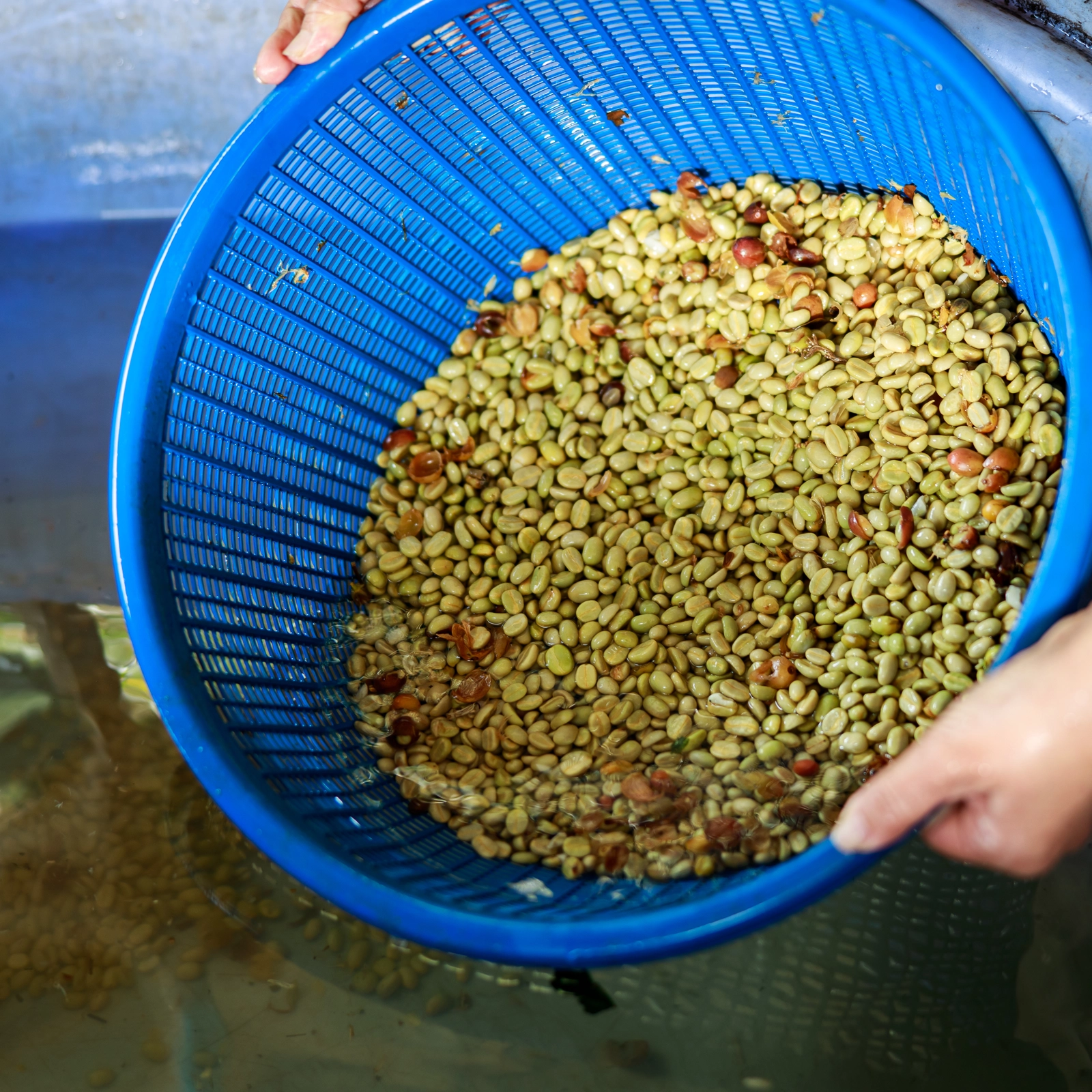 Phương pháp sơ chế