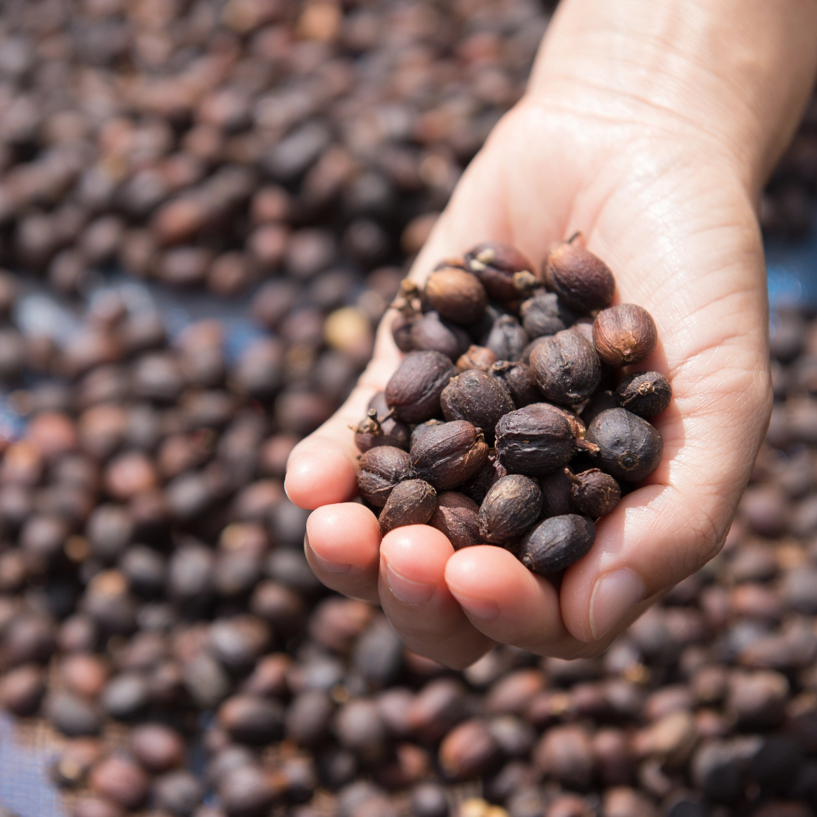 Ưu điểm của Natural Process
