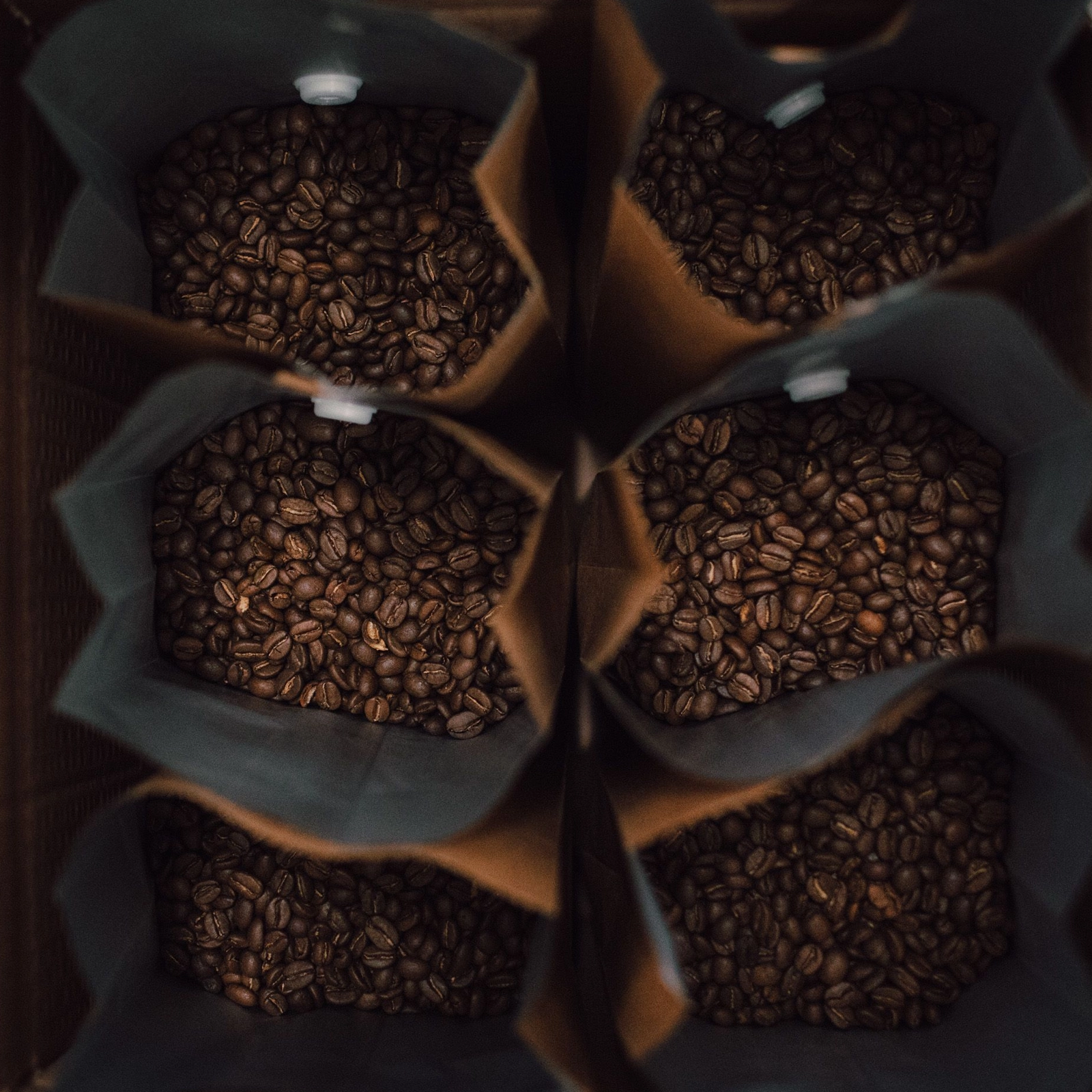 Những hương vị thường gặp