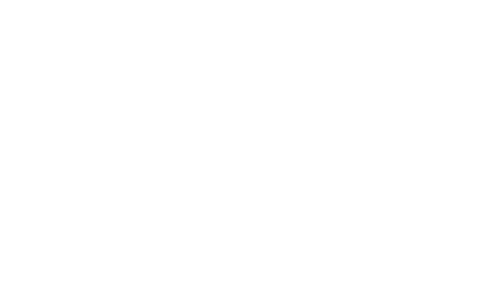 Logo Footer